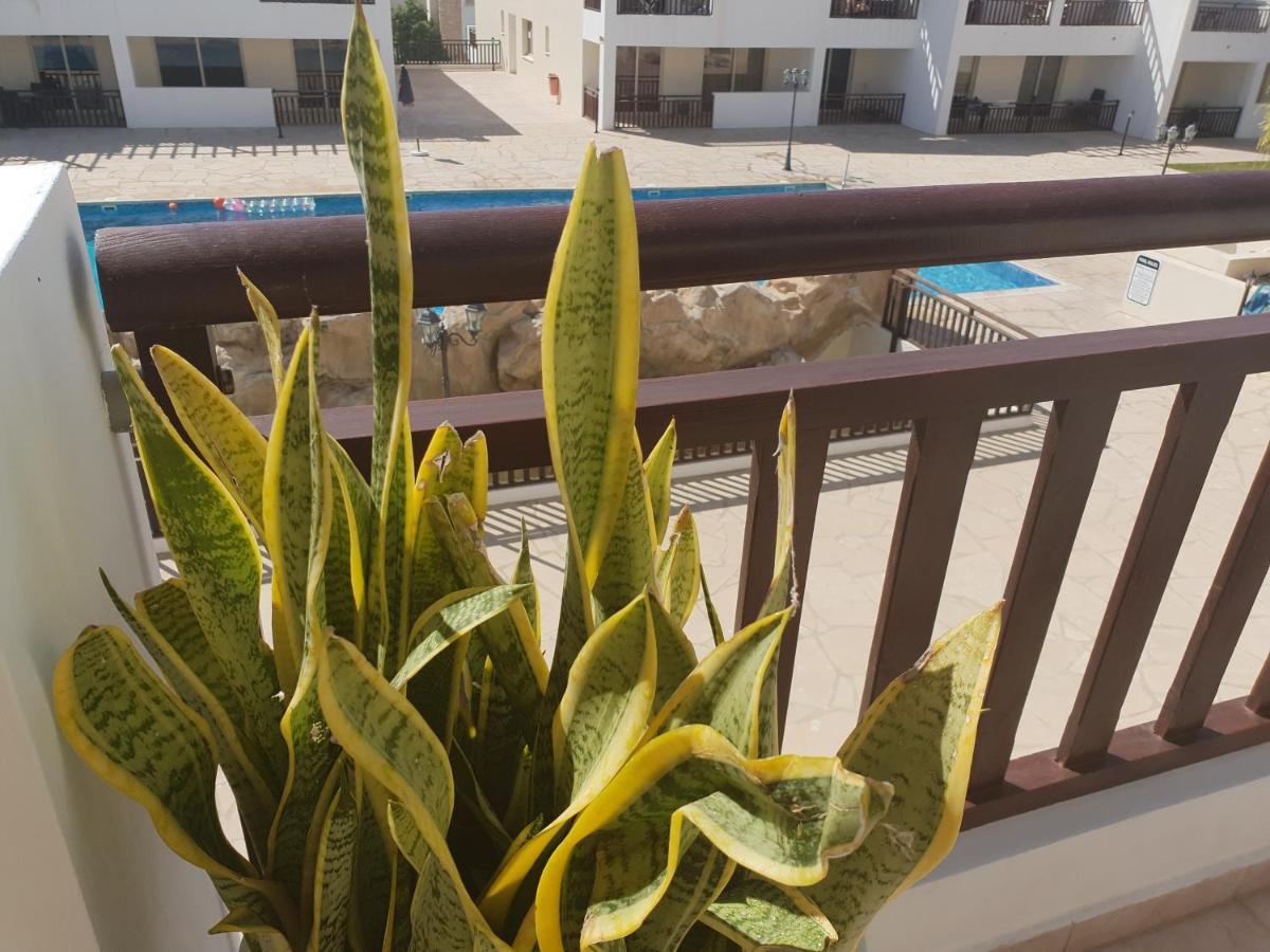 Stunning Apartment C106 With Balcony Looking Over Pool Pegeia Eksteriør billede